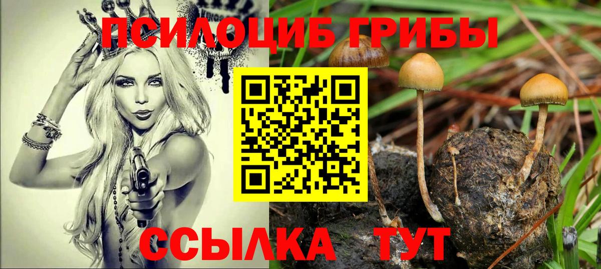 Псилоцибиновые грибы GOLDEN TEACHER Прохладный