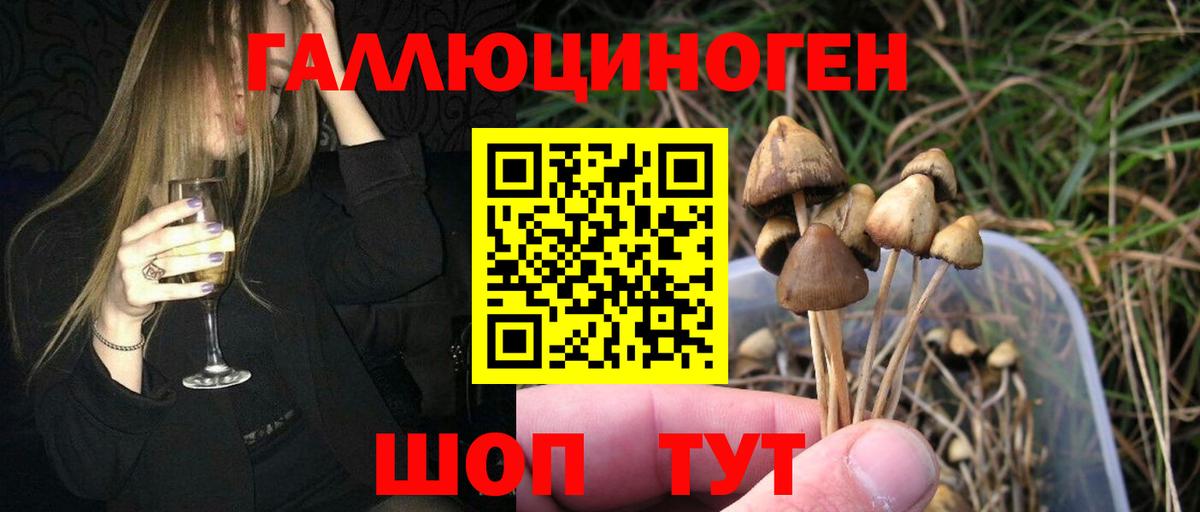 МАРИХУАНА  Гашиш  Вход с VPN  МДМА  Прохладный  Меф МЯУ МЯУ кристаллы  МЕТАДОН  Мефедрон  Cocaine 