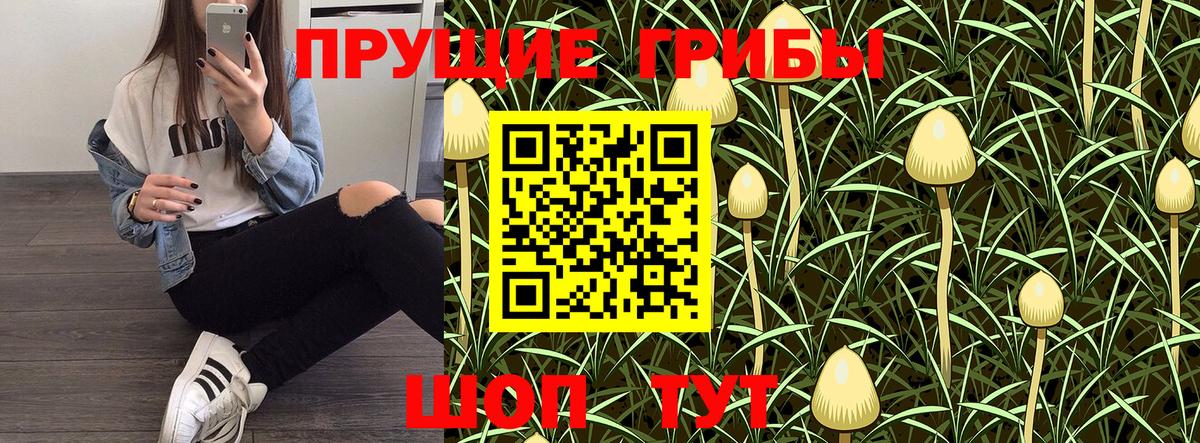 Прохладный  где найти наркотики  Псилоцибиновые грибы Psilocybine cubensis  Вход с VPN  Псилоцибиновые грибы прущие грибы 